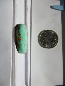49.2 ct. (32x28x7 mm) 100% Natural Rare Grasshopper Turquoise Cabochon Gemstone, GS 039 s