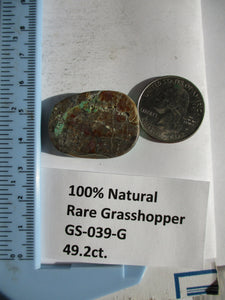 49.2 ct. (32x28x7 mm) 100% Natural Rare Grasshopper Turquoise Cabochon Gemstone, GS 039 s