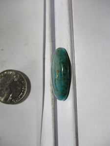 31.8 ct. (31x23.5x6 mm) Stabilized Kingman Turquoise  Gemstone, 1DB 039