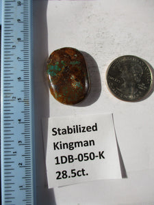 28.5 ct. (30x21x5 mm) Stabilized Kingman Turquoise  Gemstone, 1DB 050
