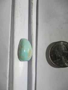 14.2 ct (20x17x6 mm) 100% Natural Royston Turquoise Cabochon Gemstone, 1DC 061