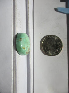 28.5 ct. (25x21.5x6.5 mm) 100% Natural Rare Grasshopper Turquoise Cabochon Gemstone, GS 032 s