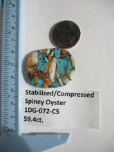 Load image into Gallery viewer, 59.4 ct. (38x31x5.5 mm) Pressed/Stabilized Kingman Spiny Oyster Turquoise Cabochon, Gemstone, 1DG 072