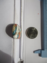 Load image into Gallery viewer, 49.2 ct. (37.5x24x6 mm) Pressed/Stabilized Kingman Spiny Oyster Turquoise Cabochon, Gemstone, 1DG 074