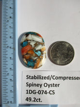 Load image into Gallery viewer, 49.2 ct. (37.5x24x6 mm) Pressed/Stabilized Kingman Spiny Oyster Turquoise Cabochon, Gemstone, 1DG 074