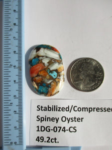 49.2 ct. (37.5x24x6 mm) Pressed/Stabilized Kingman Spiny Oyster Turquoise Cabochon, Gemstone, 1DG 074