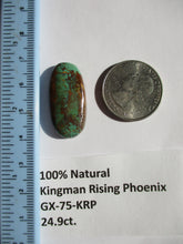 Load image into Gallery viewer, 24.9 ct. (30x15x6 mm) 100% Natural Kingman Rising Phoenix Turquoise Cabochon Gemstone, GX 75