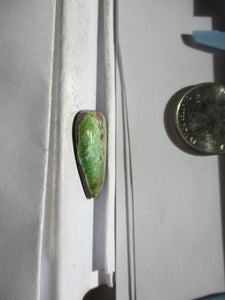 19.8 ct. (26x19x5 mm) 100% Natural Rare Grasshopper Turquoise Cabochon Gemstone, GV 061 s