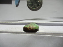 Load image into Gallery viewer, 19.8 ct. (26x19x5 mm) 100% Natural Rare Grasshopper Turquoise Cabochon Gemstone, GV 061 s