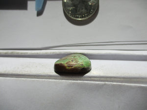19.8 ct. (26x19x5 mm) 100% Natural Rare Grasshopper Turquoise Cabochon Gemstone, GV 061 s