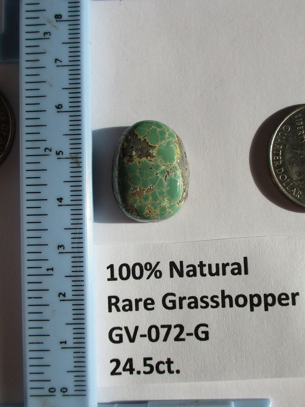 24.5 ct. (22x17x8 mm) 100% Natural Rare Grasshopper Turquoise Cabochon Gemstone, GV 072 s