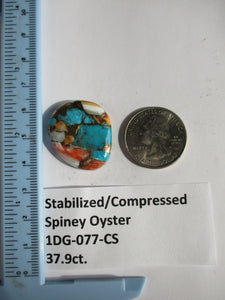 37.9 ct. (28x25x6 mm) Pressed/Stabilized Kingman Spiny Oyster Turquoise Cabochon, Gemstone, 1DG 077