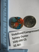 Load image into Gallery viewer, 32.4 ct. (25x24x6.5 mm) Pressed/Stabilized Kingman Spiny Oyster Turquoise Cabochon, Gemstone, 1DG 080