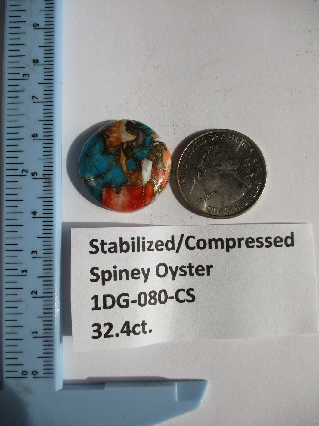 32.4 ct. (25x24x6.5 mm) Pressed/Stabilized Kingman Spiny Oyster Turquoise Cabochon, Gemstone, 1DG 080