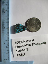 Load image into Gallery viewer, 12.5 ct. (20x14.5x5 mm) 100% Natural  Web Cloud Mountain (Yungaisi) Turquoise  Cabochon, Gemstone, # 1DI 43