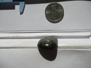 34.7 ct. (33x21x6 mm) Stabilized Qingu Mine (Hubei) Turquoise Cabochon Gemstone, 1DJ 51