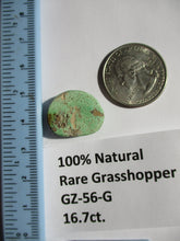 Load image into Gallery viewer, 16.7 ct. (20x16.5x6.5 mm) 100% Natural Rare Grasshopper Turquoise Cabochon Gemstone, GZ 56 s