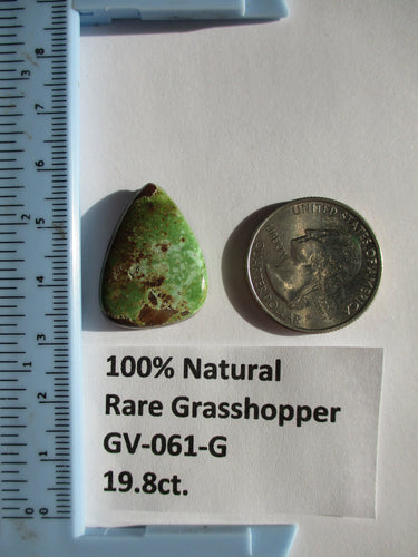 19.8 ct. (26x19x5 mm) 100% Natural Rare Grasshopper Turquoise Cabochon Gemstone, GV 061 s