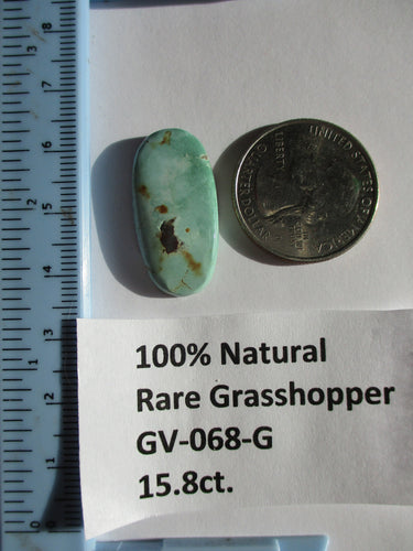 15.8 ct. (28x14x4.5 mm) 100% Natural Rare Grasshopper Turquoise Cabochon Gemstone, GV 068 s