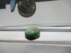 24.5 ct. (22x17x8 mm) 100% Natural Rare Grasshopper Turquoise Cabochon Gemstone, GV 072 s