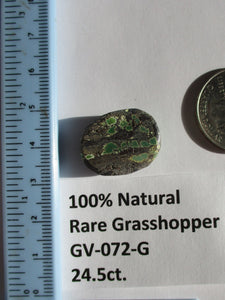24.5 ct. (22x17x8 mm) 100% Natural Rare Grasshopper Turquoise Cabochon Gemstone, GV 072 s