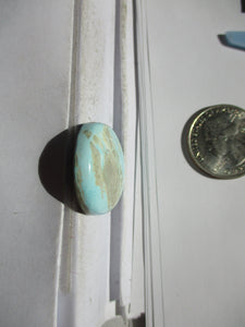 34.5 ct (30.5x18x6 mm) 100% Natural Royston Turquoise Cabochon Gemstone, HA 56