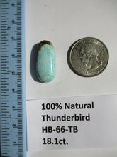 Load image into Gallery viewer, 18.1 ct. (25x11.5x7 mm) 100% Natural Thunderbird Turquoise Cabochon Gemstone, HB 66