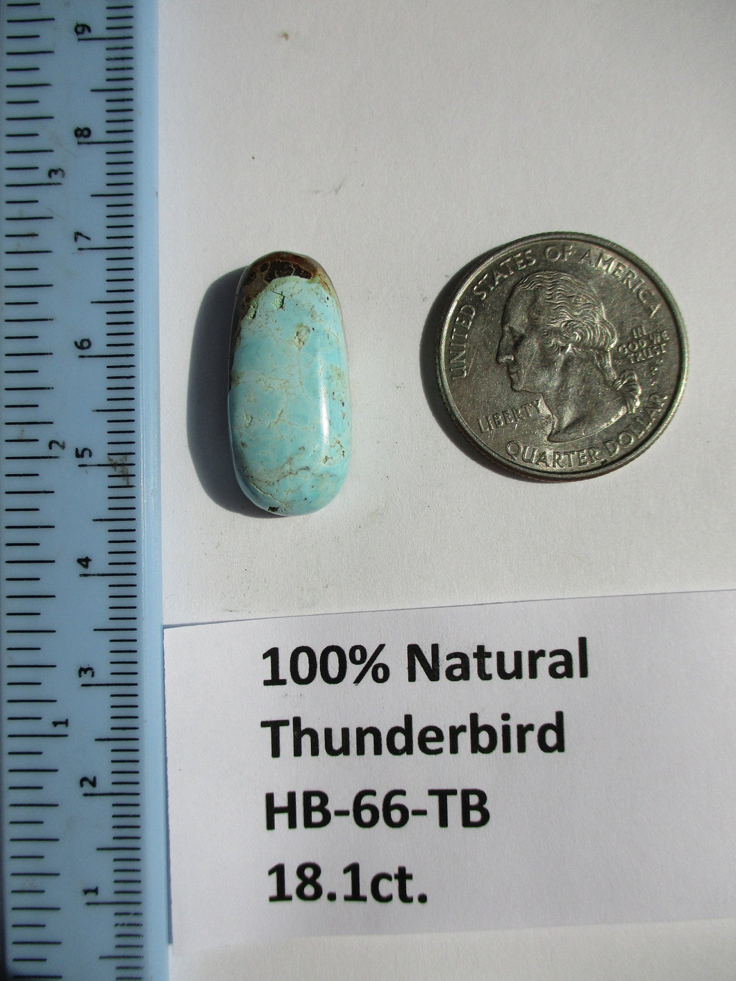 18.1 ct. (25x11.5x7 mm) 100% Natural Thunderbird Turquoise Cabochon Gemstone, HB 66