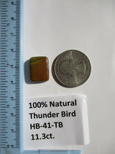 Load image into Gallery viewer, 11.3 ct. (16.5x13x5 mm) 100% Natural Thunderbird Turquoise Cabochon Gemstone, HB 41