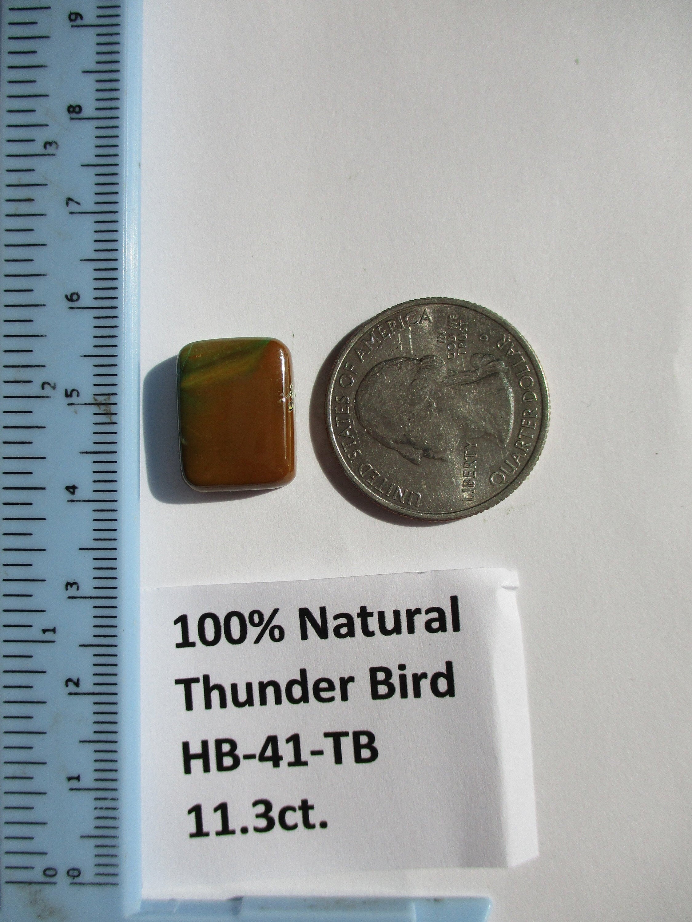 11.3 ct. (16.5x13x5 mm) 100% Natural Thunderbird Turquoise Cabochon Gemstone, HB 41
