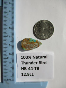 12.9 ct. (25x14x5x5 mm) 100% Natural Thunderbird Turquoise Cabochon Gemstone, HB 44