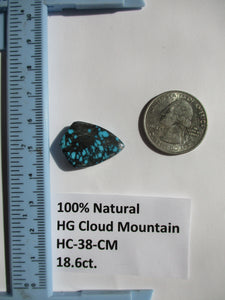 18.5 ct. (24x17x6 mm) 100% Natural High Grade Web Cloud Mountain (Hubei)) Turquoise Cabochon Gemstone, HC 38