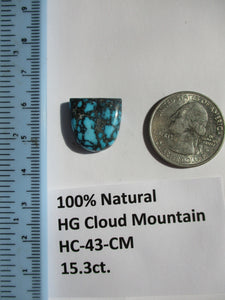 15.3 ct. (17x17x6 mm) 100% Natural High Grade Web Cloud Mountain (Hubei)) Turquoise Cabochon Gemstone, HC 43