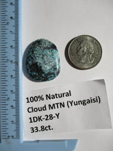 Load image into Gallery viewer, 33.8 ct. (30x24x5 mm) 100% Natural  Web Cloud Mountain (Yungaisi) Turquoise  Cabochon, Gemstone, # 1DK 28
