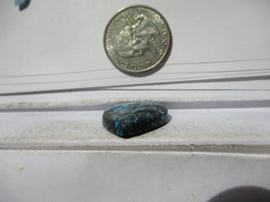 21.1 ct. (23x21x5 mm) 100% Natural High Grade Web Cloud Mountain (Hubei)) Turquoise Cabochon Gemstone, HC 11