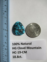 Load image into Gallery viewer, 18.8 ct. (23x20x5 mm) 100% Natural High Grade Web Cloud Mountain (Hubei) Turquoise Cabochon Gemstone, HC 19