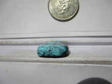 Load image into Gallery viewer, 27.6 ct. (24x20x6.5 mm) 100% Natural High Grade Web Cloud Mountain (Hubei) Turquoise Cabochon Gemstone, HC 35