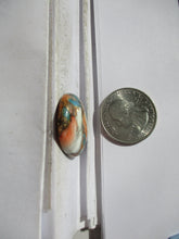 Load image into Gallery viewer, 30.4 ct. (26x23x6 mm) Pressed/Stabilized Kingman Spiny Oyster Turquoise Cabochon, Gemstone, 1DG 59