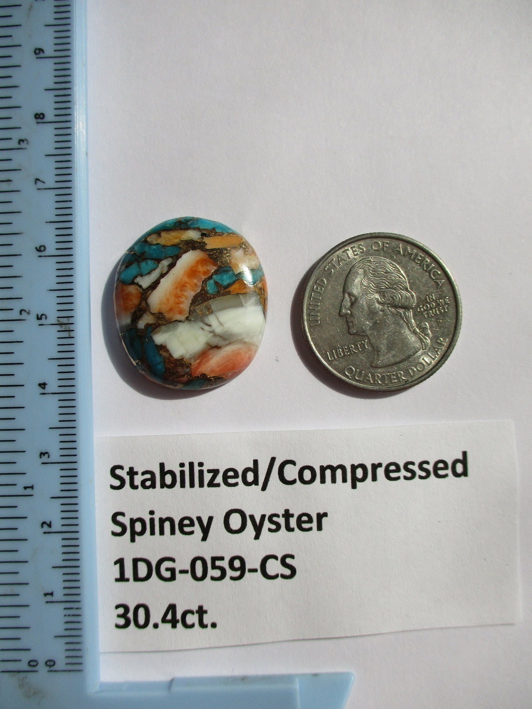 30.4 ct. (26x23x6 mm) Pressed/Stabilized Kingman Spiny Oyster Turquoise Cabochon, Gemstone, 1DG 59