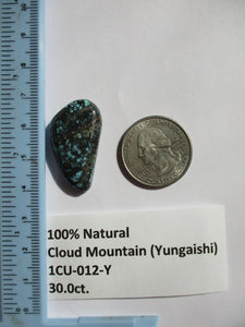 30.0 ct. (30.5x17x7 mm) 100% Natural Cloud Mountain (Hubei) Turquoise Cabochon Gemstone, 1CU 012