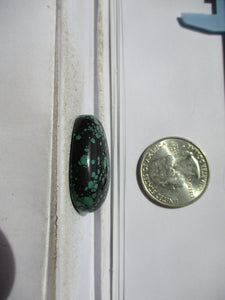35.4 ct. (31x24.5x9 mm) Stabilized Qingu Mine (Hubei) Turquoise Cabochon, Gemstone, 1CW 053