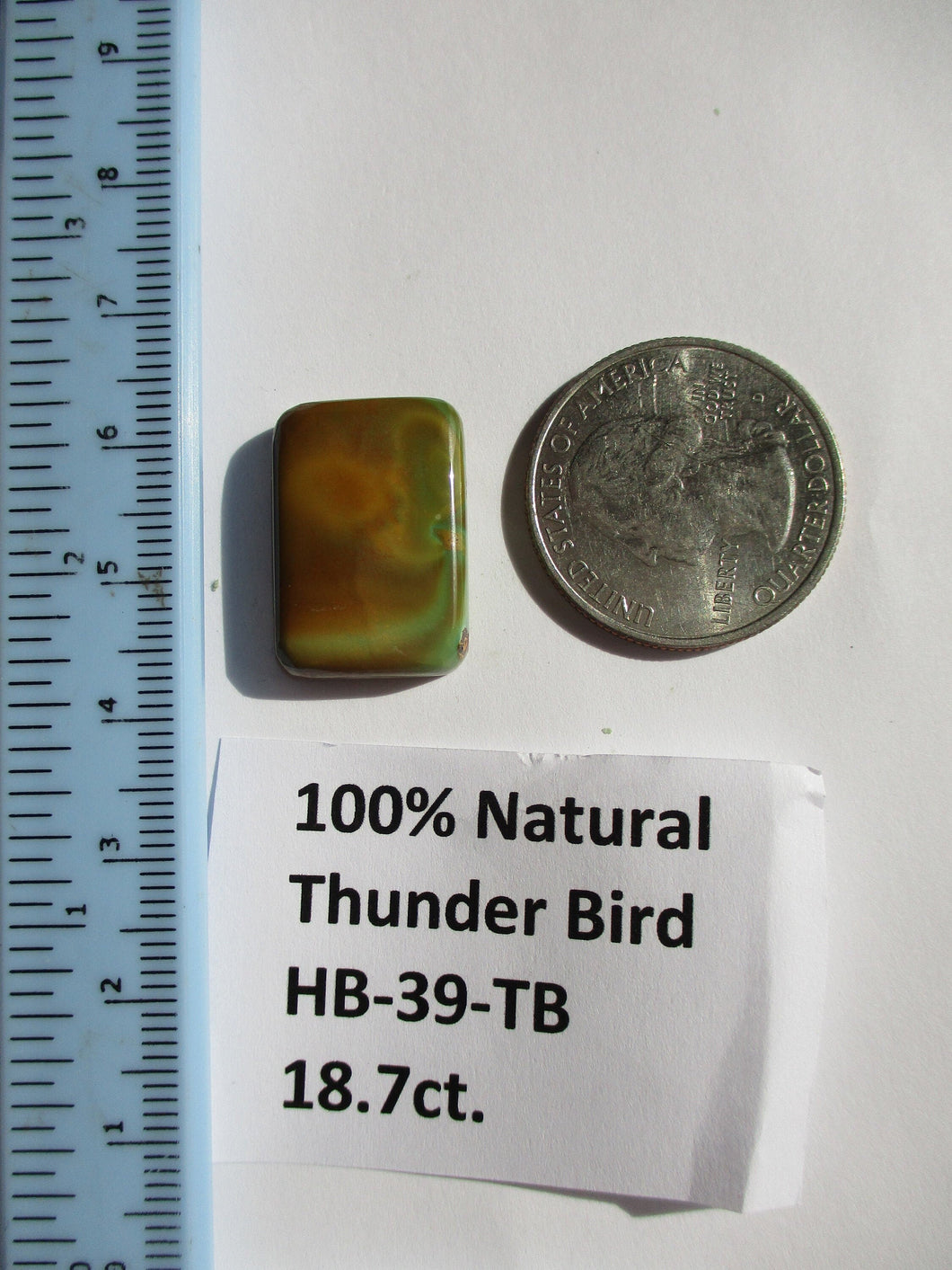 18.7 ct. (21x15x5.5 mm) 100% Natural Thunderbird Turquoise Cabochon Gemstone, HB 39