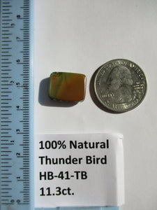 11.3 ct. (16.5x13x5 mm) 100% Natural Thunderbird Turquoise Cabochon Gemstone, HB 41