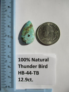 12.9 ct. (25x14x5x5 mm) 100% Natural Thunderbird Turquoise Cabochon Gemstone, HB 44