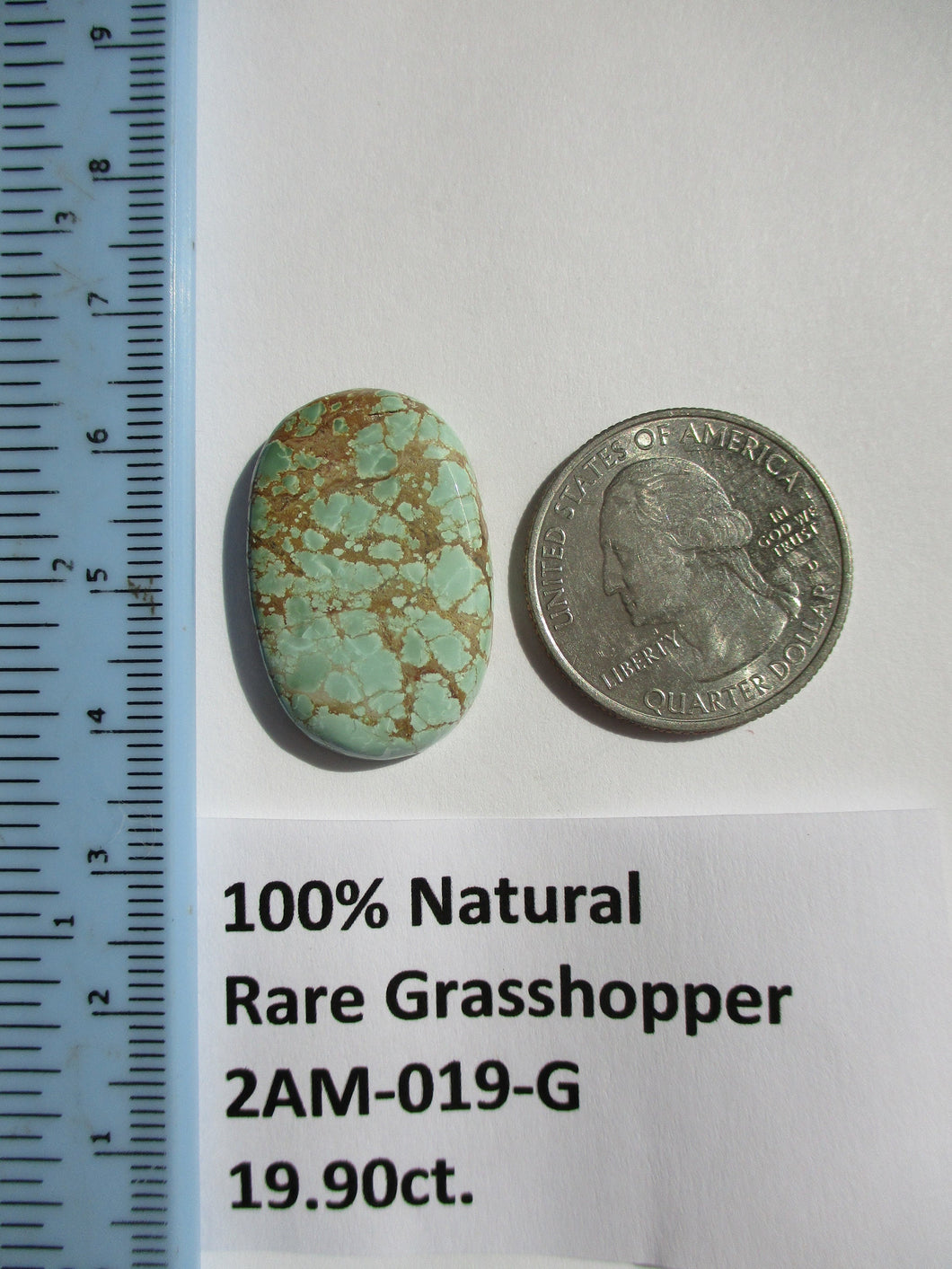19.9 ct. (28x18x5 mm) 100% Natural Rare Web Grasshopper Turquoise Cabochon Gemstone, # 2AM 019 s