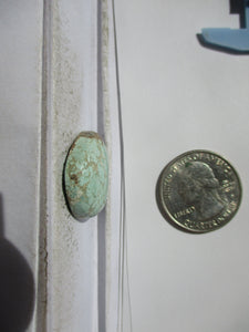 22.6 ct. (24x20x7 mm) 100% Natural Rare Web Grasshopper Turquoise Cabochon Gemstone, # 2AM 042 s