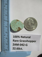 Load image into Gallery viewer, 22.6 ct. (24x20x7 mm) 100% Natural Rare Web Grasshopper Turquoise Cabochon Gemstone, # 2AM 042 s