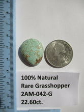 Load image into Gallery viewer, 22.6 ct. (24x20x7 mm) 100% Natural Rare Web Grasshopper Turquoise Cabochon Gemstone, # 2AM 042 s