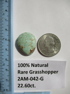22.6 ct. (24x20x7 mm) 100% Natural Rare Web Grasshopper Turquoise Cabochon Gemstone, # 2AM 042 s