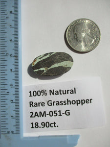 18.9 ct. (27x16x6 mm) 100% Natural Rare Grasshopper Turquoise Cabochon Gemstone, # 2AM 051 s